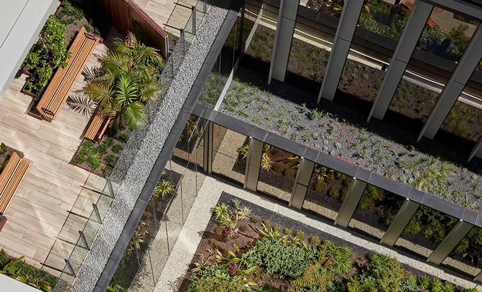 Bendigo Hospital, Architects: Silver Thomas Hanley and Bates Smart, Landscape Architect: Oculus, Photographer: Peter Clarke
