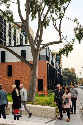 GANA Architects walking past the gum tree at the front entrance of the Bangs St Housing Development